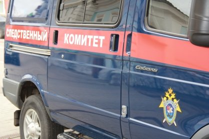 В Канске возбуждено уголовное дело по факту нападения бродячей собаки на малолетнего ребенка