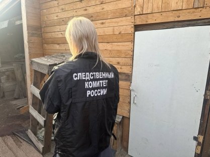 В Канске возбуждено уголовное дело по факту убийства троих малолетних детей